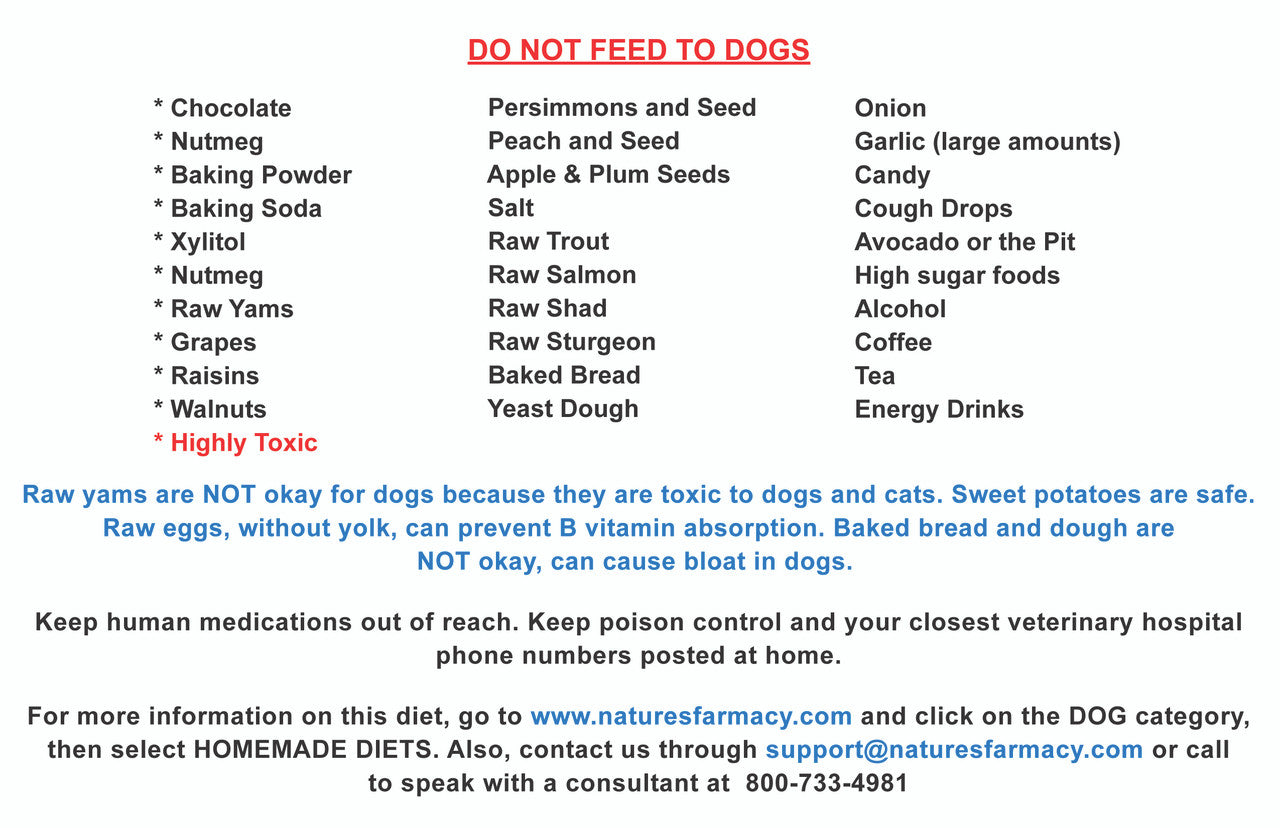 Homemade Diet Card For Dogs (Actual Printed Card)