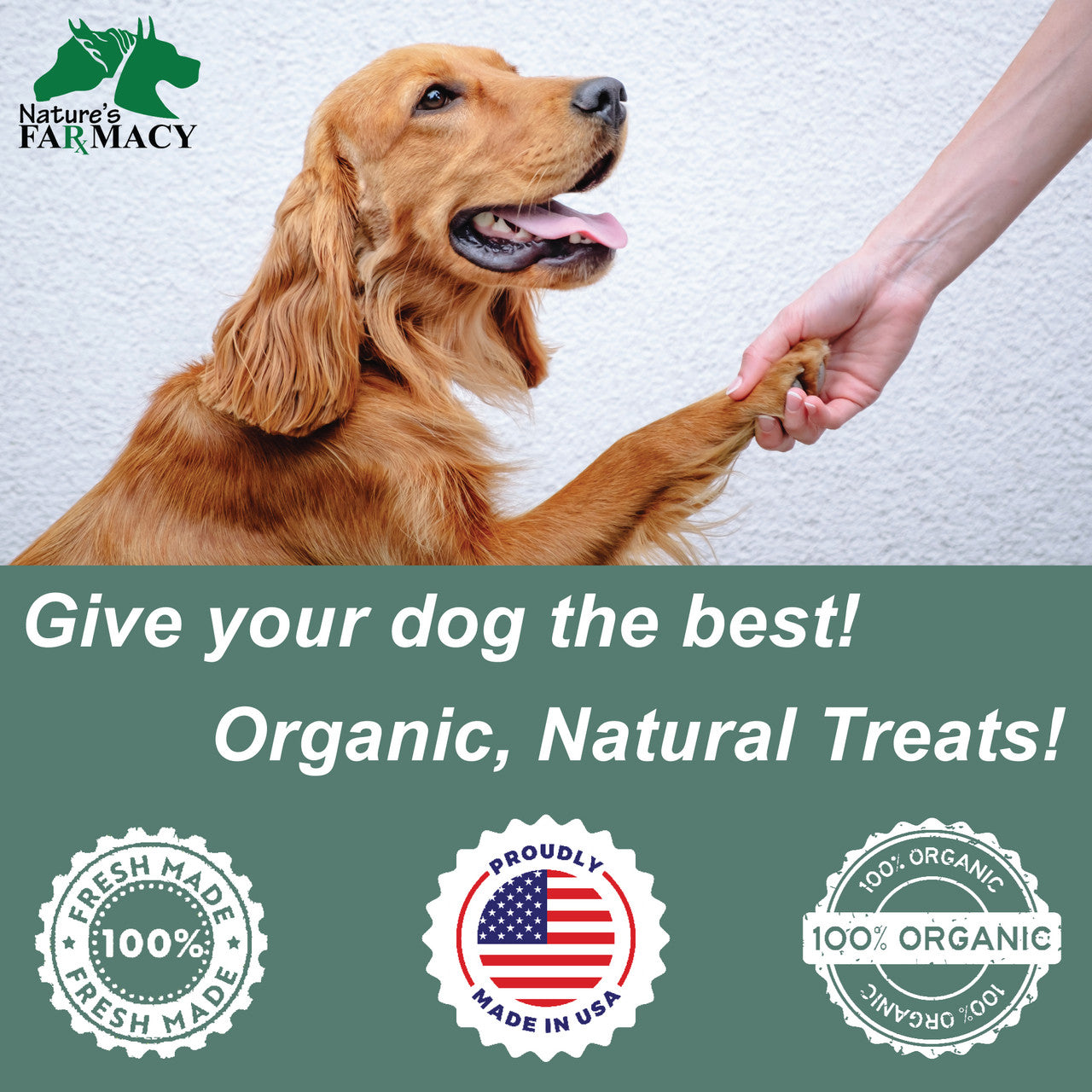 Dogzymes Meat Treats Tender Small Dog Treats