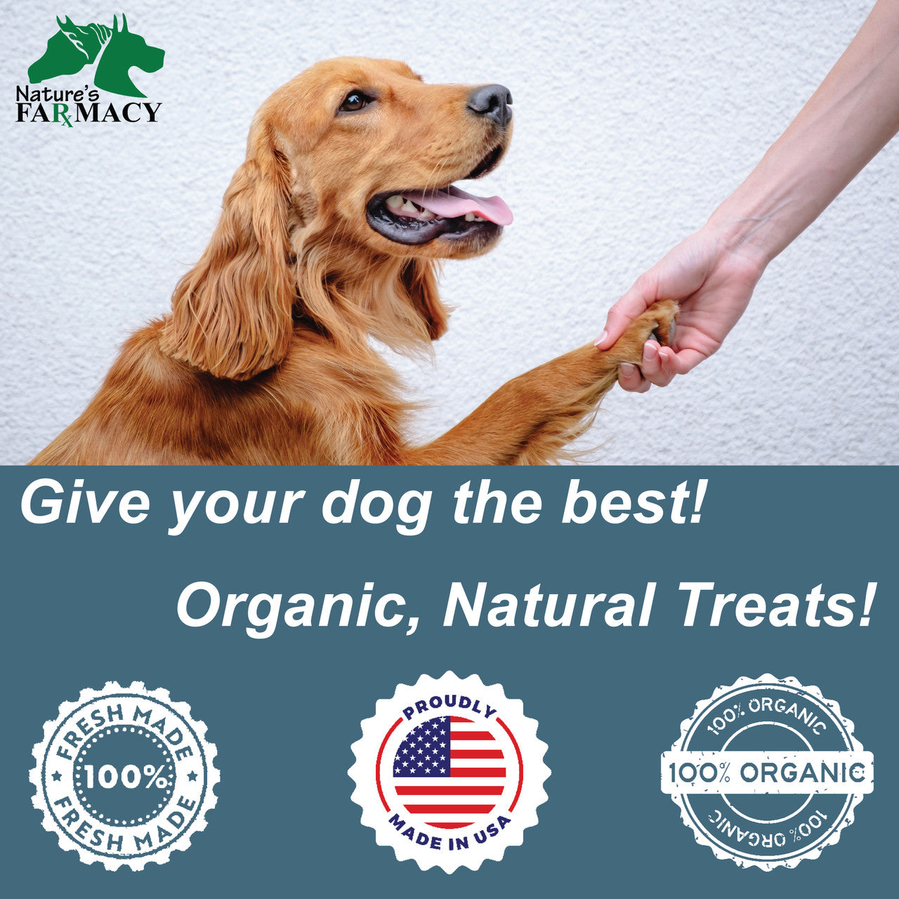 Dogzymes Meat Treats Training Treats