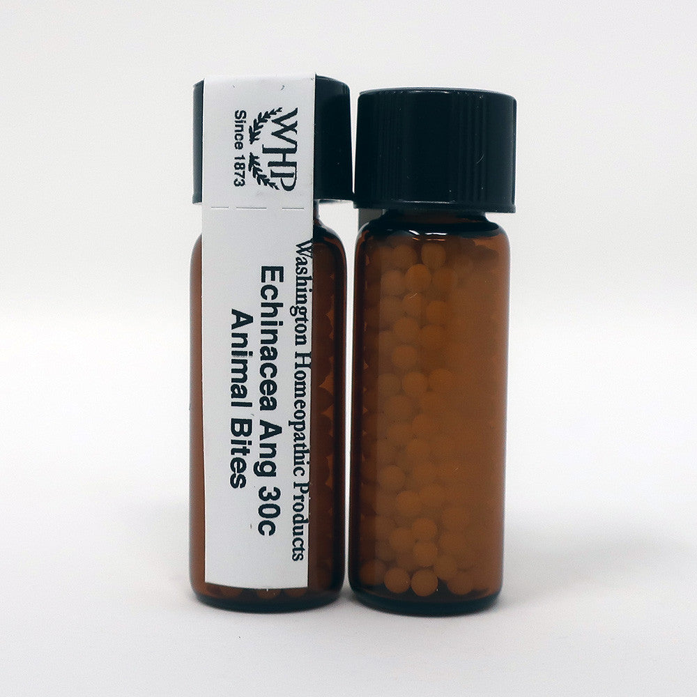 Echinacea Angustifolia 30C Pellets Half Dram