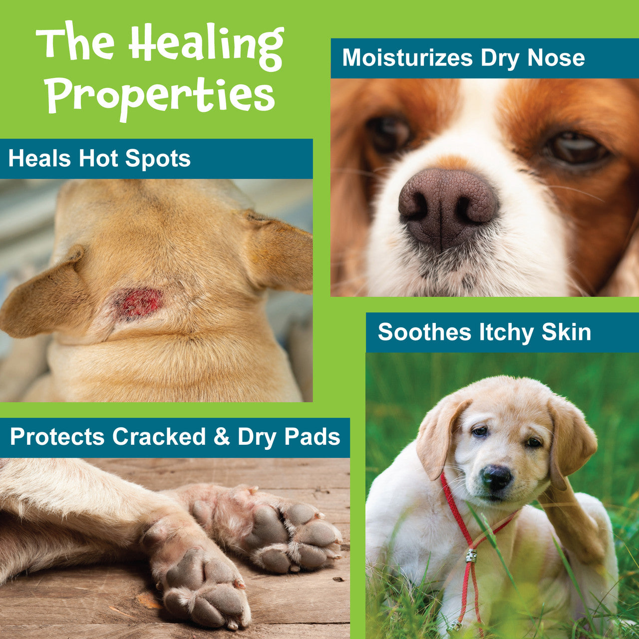 Snout Grout – Nature's Farmacy